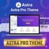 Wp Install With Astra Theme Lifetime