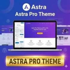 Wp Install With Astra Theme Lifetime