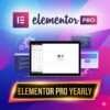 Wp Install With Elementor Pro Plugin