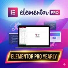 Wp Install With Elementor Pro Plugin